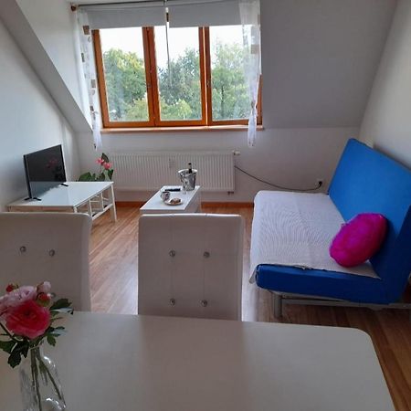 Riegrova Apartment Ceske Budejovice Ngoại thất bức ảnh